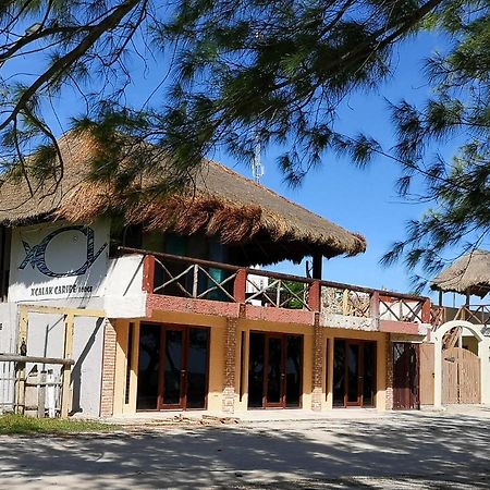 Xcalak Caribe Lodge Εξωτερικό φωτογραφία