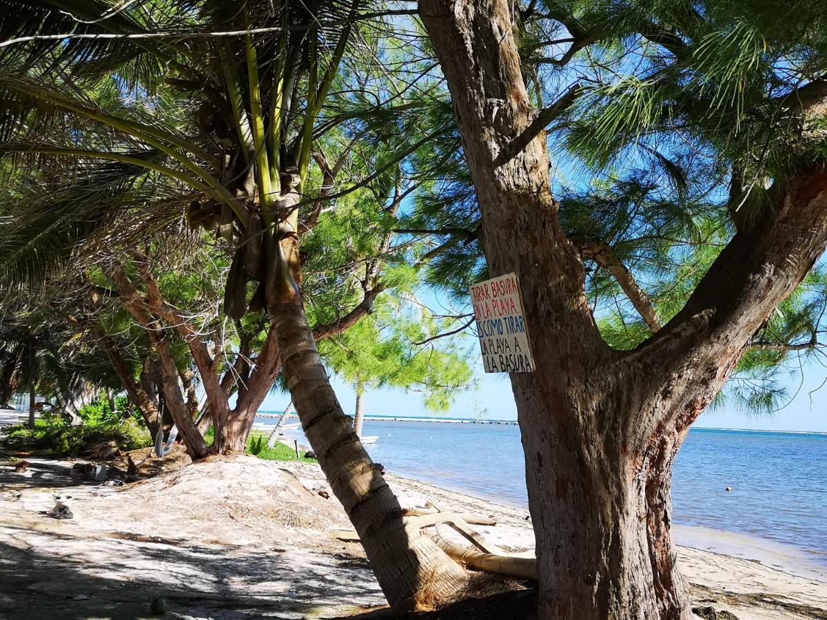 Xcalak Caribe Lodge Εξωτερικό φωτογραφία